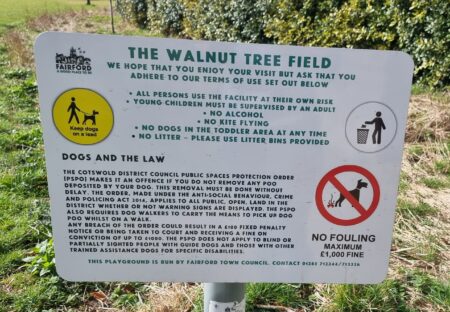 The Walnut Tree Field